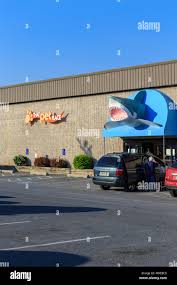 Image result for The Lancaster Fish