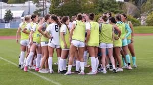 Image result for Hamilton Panthers Association Football Club