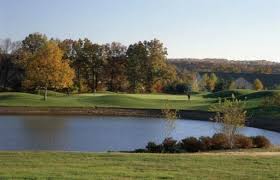 Image result for Greetham Valley Golf Club