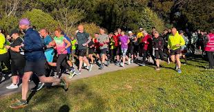 Image result for Eryri Harriers Running Club
