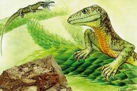 Attēlu rezultāti vaicājumam “Sauria”