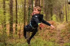 Image result for Go Ape! Moors Valley