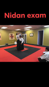 Image result for Ryuko Dojo