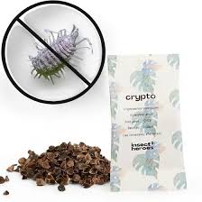 Image result for Cryptolaemus