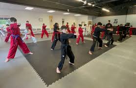 Image result for KA Martial Arts John's Creek