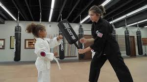 Image result for COURT FIELDS karate Academy