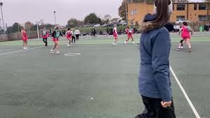 Image result for Pink Ladies Netball Club