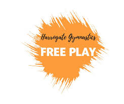 Image result for Harrogate School Of Gymnastics
