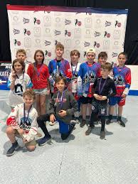 Image result for Ash Avalanche Skater Hockey Club
