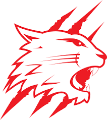 Image result for Swindon Flames