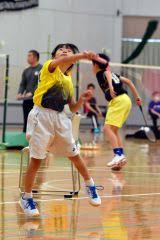 小羽　貝谷에 대한 이미지 검색결과