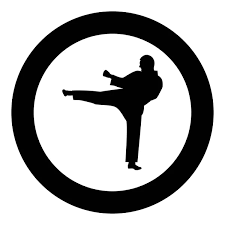 Image result for Shitokai Karate Club