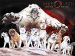 Ginga: Nagareboshi Gin Wallpapers for free| Download Ginga ...