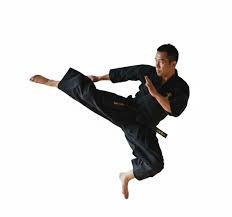 Image result for Tae-jitsu