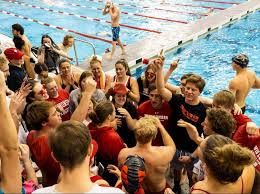 Image result for Wisbech Swimming Club