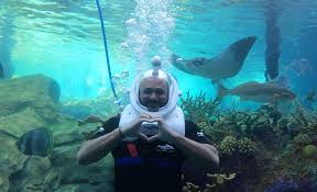 Image result for Discover Swimming