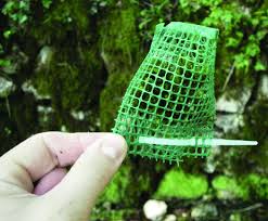 Attēlu rezultāti vaicājumam “Platyhypnidium riparioides”