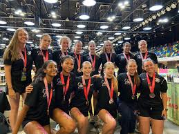 Image result for Wandsworth Netball Club