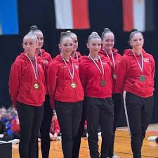 Image result for Bulmershe Gymnastics Club