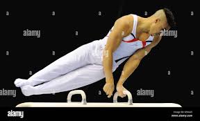 Image result for Huntingdon Olympic Gym Club