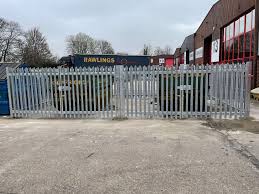 Image result for Basingstoke Sc