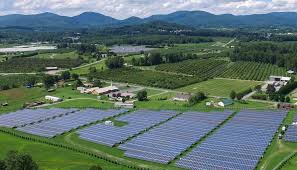 Image result for Millbrook Smbc