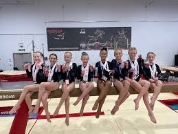 Image result for Hinckley Gymnastics Club