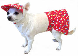 cane