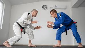Image result for Tae-jitsu
