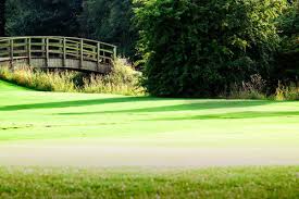 Image result for Romanby Golf Course