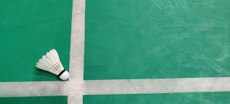 Image result for Shuttlecocks Badminton Club