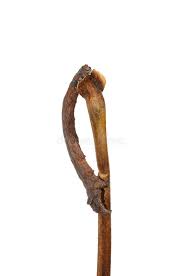 Attēlu rezultāti vaicājumam “Crocallis elinguaria larva”