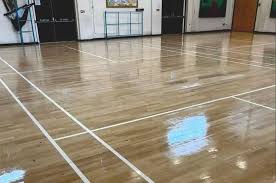 Image result for Horrabridge Badminton Club