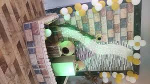 Image result for Fireflys Badminton Club