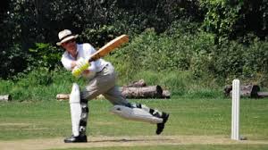 Image result for Wandham Cricket Club