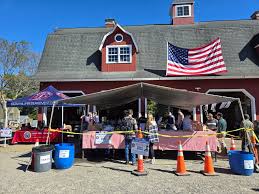 Image result for Stonyhill Ibc