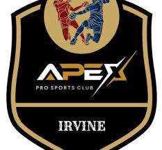 Image result for Deva Handball Club