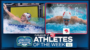 Image result for York University Swimming & Water Polo Club