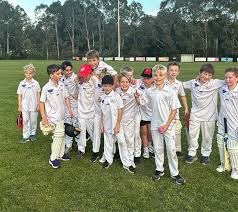 Image result for Elthorne Cricket Club