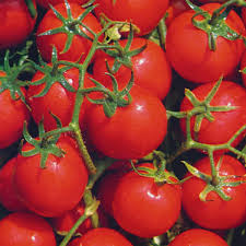 Afbeeldingsresultaat voor bloody butcher tomato