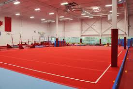 Image result for Dynamo Trampoline Academy