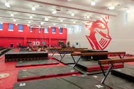 Image result for Redcar School Of Gymnastics