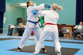Image result for Ipswich Shotokan Karate Club