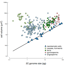 Image result for genome sizes