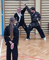 Image result for Sulkido