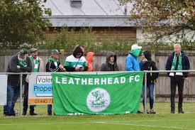 Image result for Leatherhead Football Club