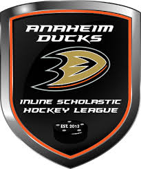 Image result for Dundee Ducks inline roller hockey club