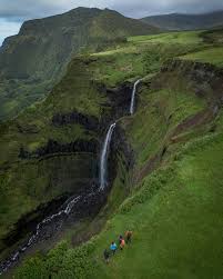 Image result for pheega