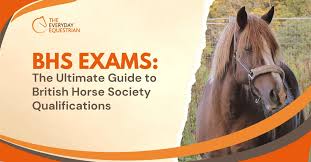 Image result for British Horse Society