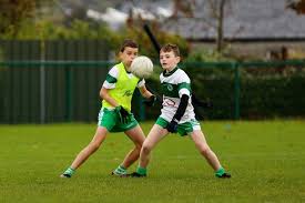 Image result for Aodh Ruadh Clg
